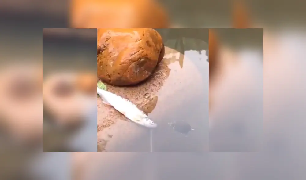 Desliza para ver el desenlace de este video viral de Facebook. Foto: Captura. Desliza para ver el desenlace de este video viral de Facebook. Foto: Captura.