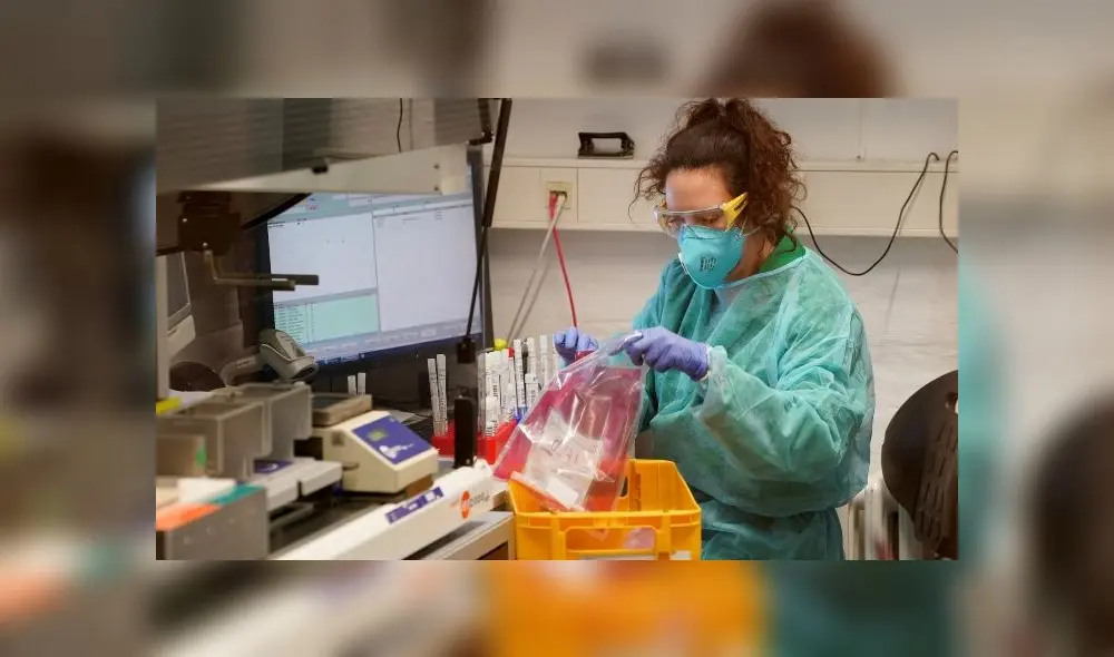 Coronavirus estudio Alemania