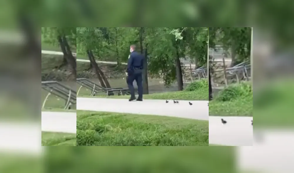 Desliza hacia la izquierda para ver más del video viral.