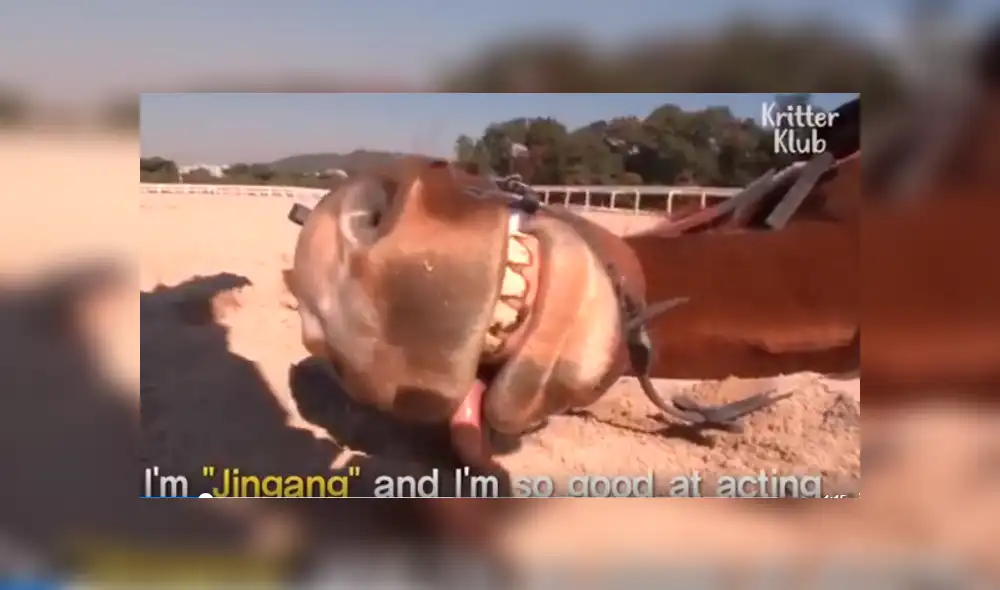 Desliza hacia la izquierda para ver más del video viral de Facebook