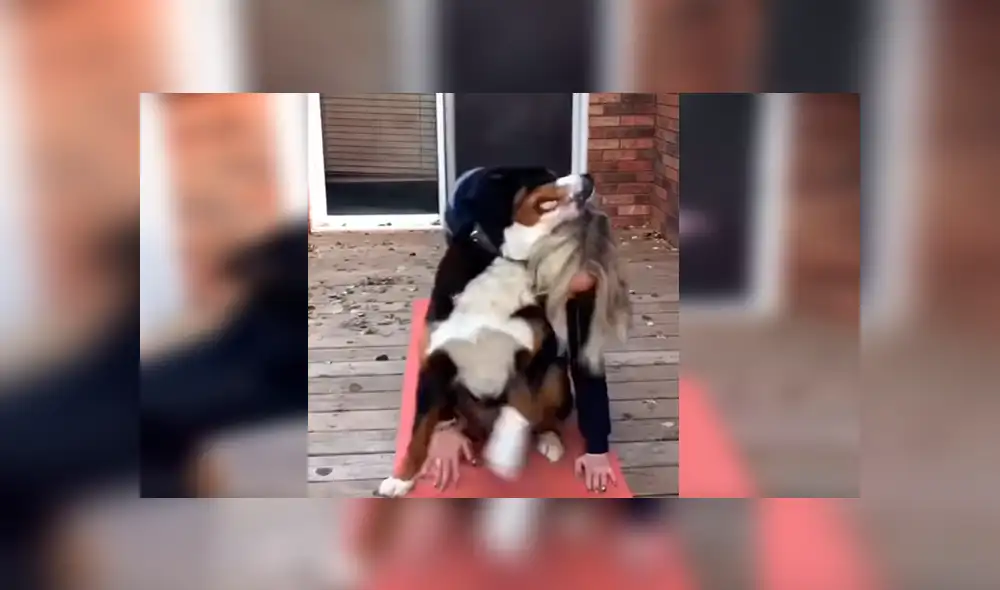 En Facebook, una joven intentó realizar un tutorial de yoga en su casa y no imaginó que su perro lo evitaría.