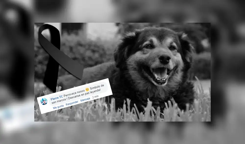 Facebook viral: sanmarquinos lloran muerte de ‘Perrovaca’ y le dedican emotivas palabras [FOTOS]