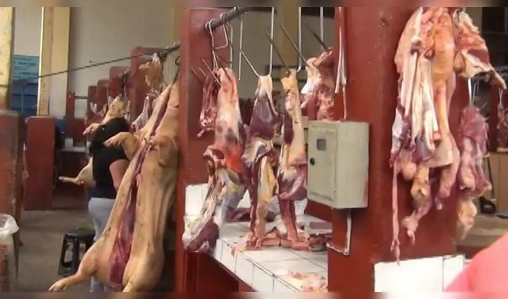 Suspenden venta de carnes rojas en mercados de Chota Suspenden venta de carnes rojas en mercados de Chota