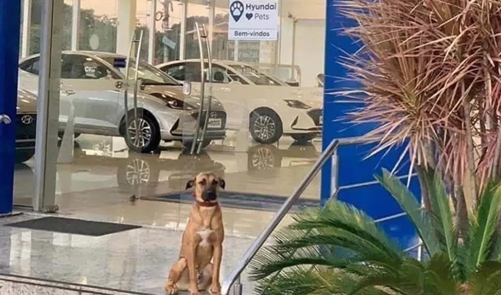 'Tucson Prime' se ha vuelto famoso por su peculiar historia. (Foto: Facebook)