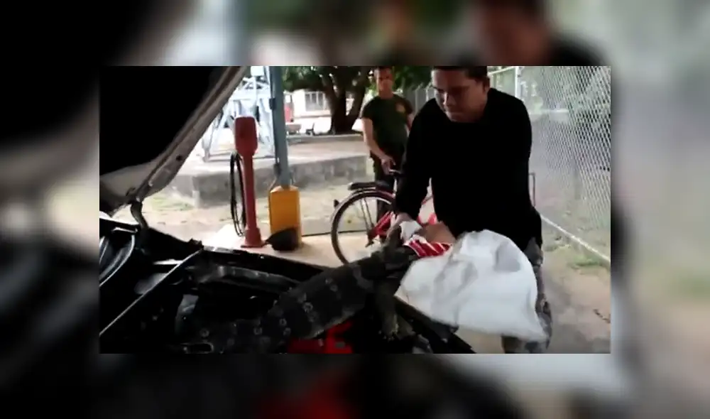 Desliza hacia la izquierda para ver las imágenes del viral de YouTube. Desliza hacia la izquierda para ver las imágenes del viral de YouTube.