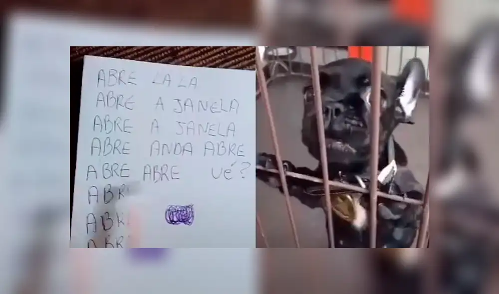 Facebook: Perro sorprende al mundo al "hablar" como humano y pedir que abran su jaula