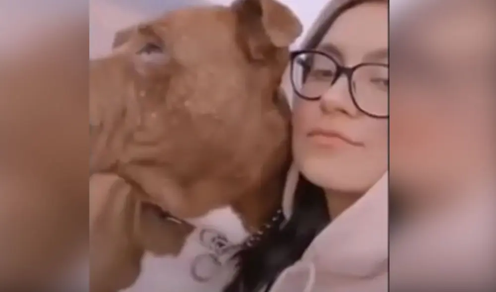 Desliza las imágenes para ver más detalles sobre esta conmovedora escena de reencuentro entre una familia y su perro que estuvo perdido. Foto: captura de Facebook