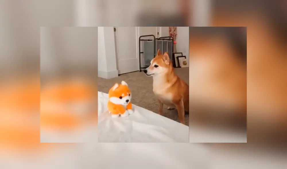 Desliza las imágenes hacia la izquierda para observar la reacción de un perro al escuchar ‘hablar’ a su nuevo juguete. Foto: Captura.