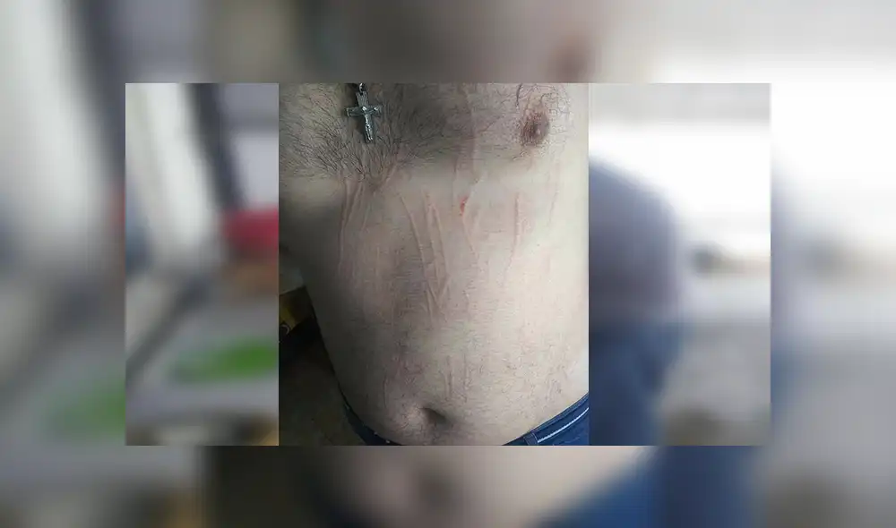 Facebook viral: señor encuentra a gato abandonado, lo lleva a su casa y sucede lo peor [VIDEO]