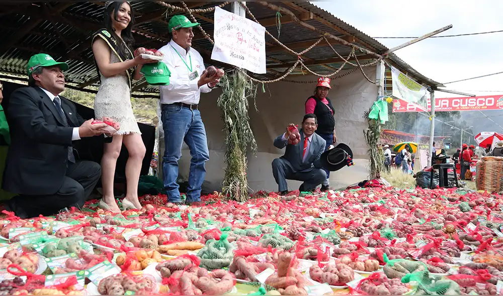 Huancavelica: agricultor presenta 200 variedades de papa nativa