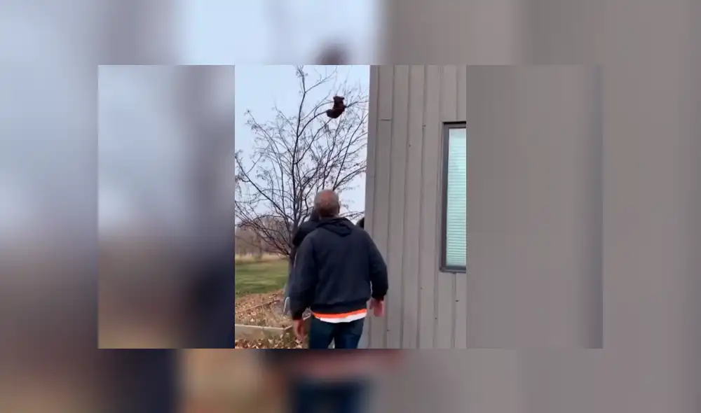 El osezno cayó, pero estos hombres ya tenían todo listo para ayudarlo. Foto: captura. El osezno cayó, pero estos hombres ya tenían todo listo para ayudarlo. Foto: captura.