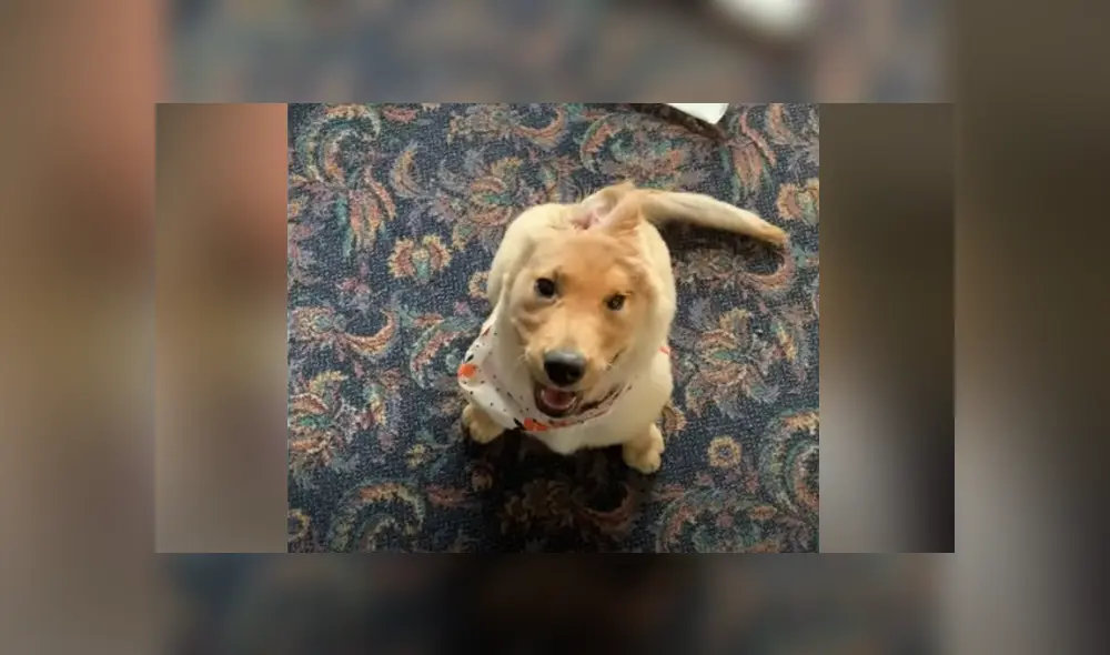 Desliza hacia la izquierda para ver las imágenes del viral de Facebook. Foto: Captura.