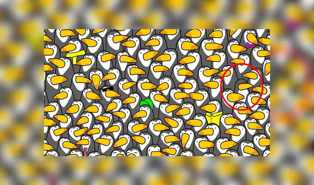 Facebook viral: halla al pingüino escondido entre tucanes, el nuevo ‘reto visual’ que casi nadie puede resolver