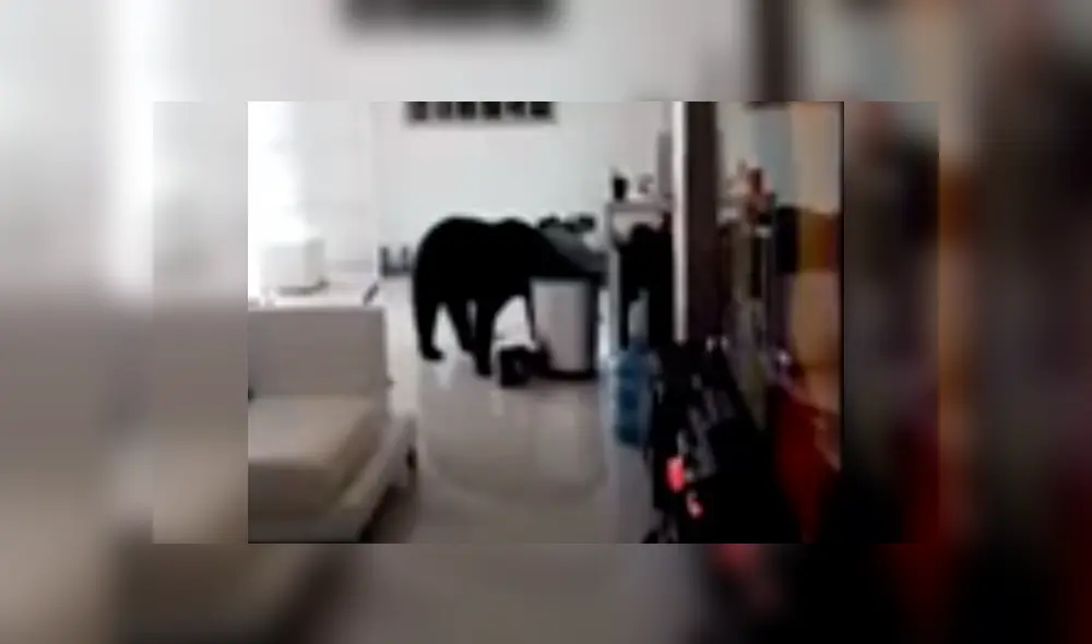 Desliza la imagen de YouTube para ver todas las imágenes.