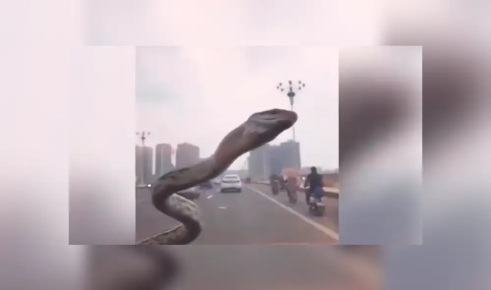 Desliza la imagen de Facebook para verlas todas.