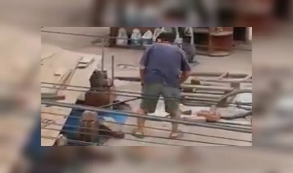 Maltrato animal: sujeto es grabado golpeando a sus perros con un palo [VIDEO] 