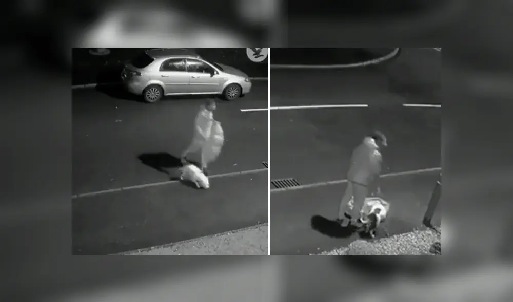 Desliza hacia la izquierda para ver el trágico momento en que un joven abandona a su mascota y se viraliza en YouTube.