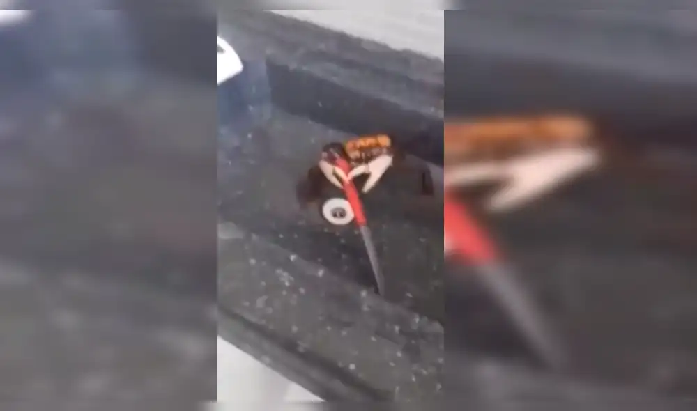 Facebook: Antes de ser cocinado, cangrejo se defiende con cuchillo [VIDEO]