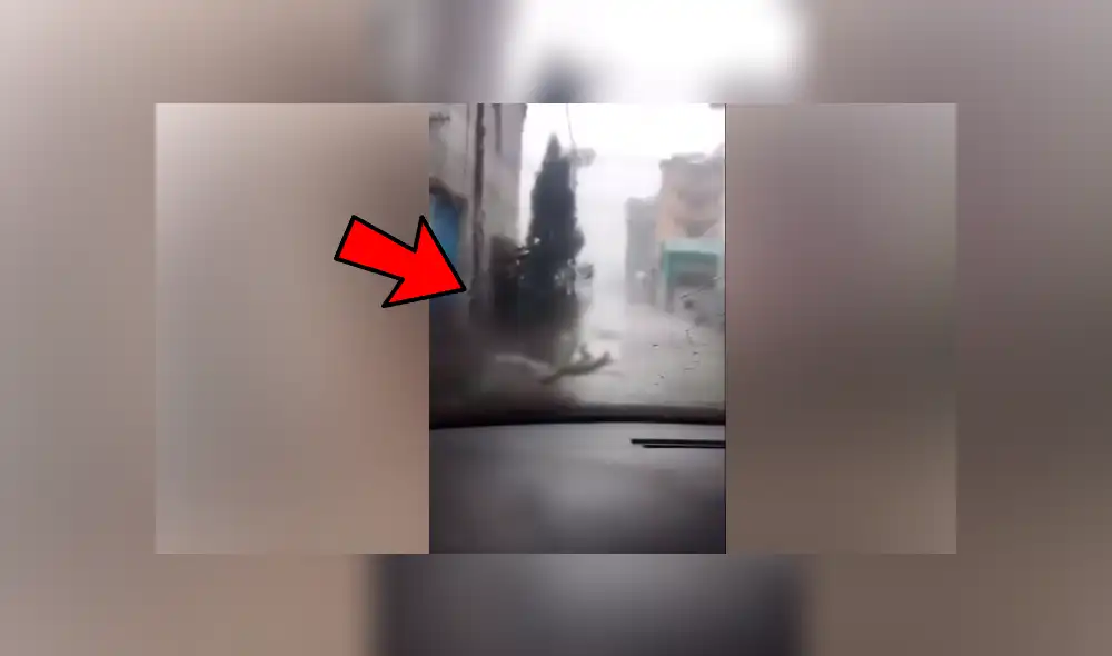 Facebook viral: misteriosa ‘criatura’ aparece mientras hombre conduce vehículo y por poco ocasiona accidente