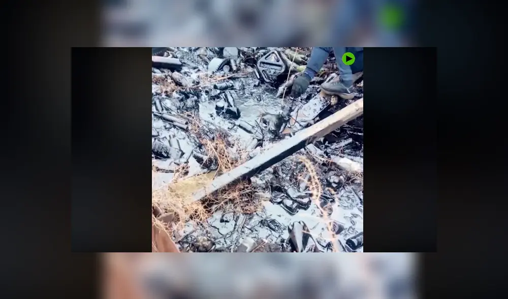 Desliza hacia la izquierda para ver cómo luce el perro que se ha vuelto viral en YouTube.