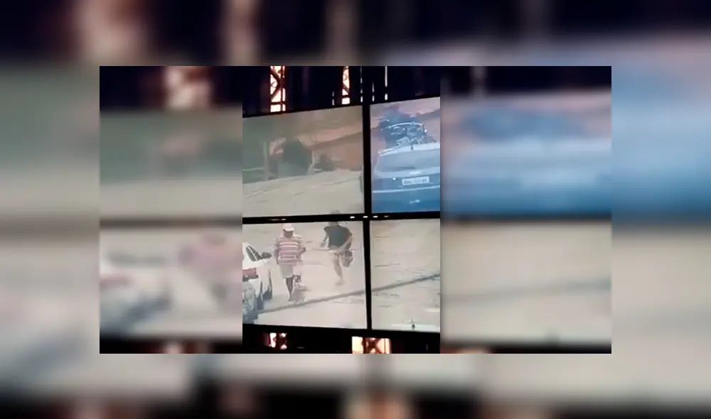 Facebook viral: Cámaras captan a perro que detuvo a ladrón que intentaba escapar de policía 