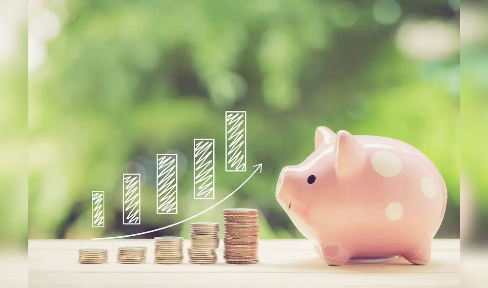 Money coins stack growing graph and piggy bank nature background, business concept.