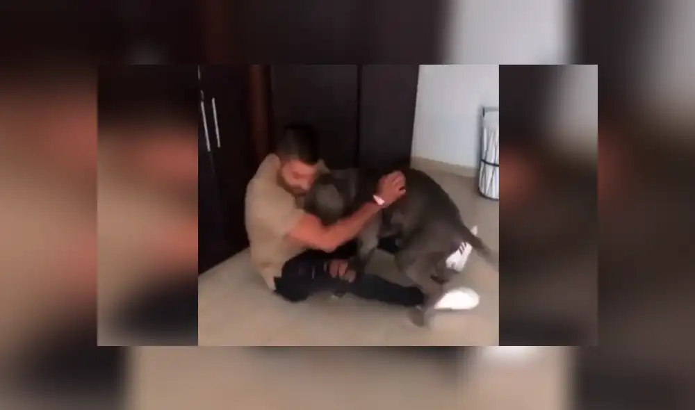 Desliza las imágenes hacia la izquierda para apreciar el preciso momento en que un perro vuelve a ver a su dueño. Foto: Captura. Desliza las imágenes hacia la izquierda para apreciar el preciso momento en que un perro vuelve a ver a su dueño. Foto: Captura.