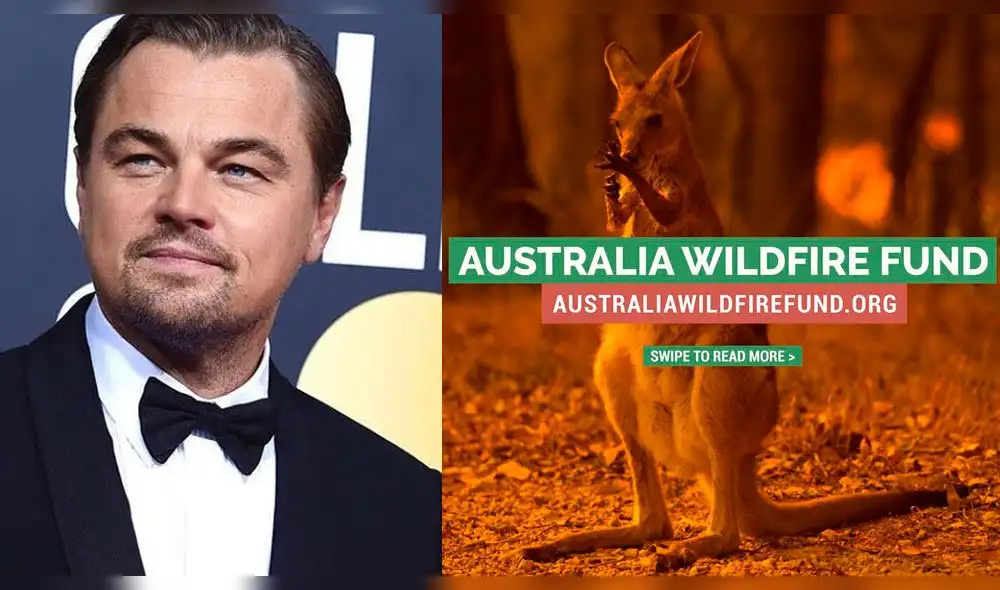 El actor Leonardo DiCaprio dona 3 millones de dólares para combatir los incendios en Australia. Foto: Instagram