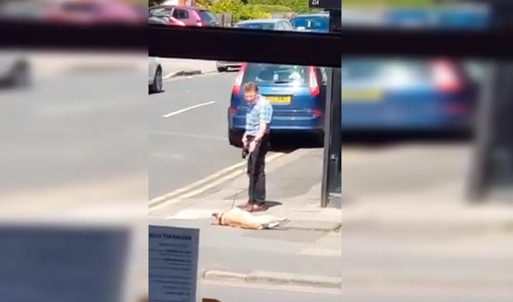 En Facebook, un joven captó el preciso instante que un perro hizo una rabieta a su dueño en la calle, pero no logró su objetivo.