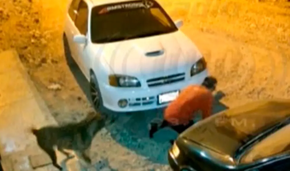 Usuarios resaltaron el comportamiento del can. Foto: captura Radio Uno Usuarios resaltaron el comportamiento del can. Foto: captura Radio Uno