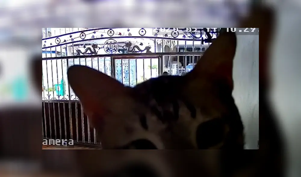 Desliza hacia la izquierda para ver las imágenes del viral de YouTube. Desliza hacia la izquierda para ver las imágenes del viral de YouTube.