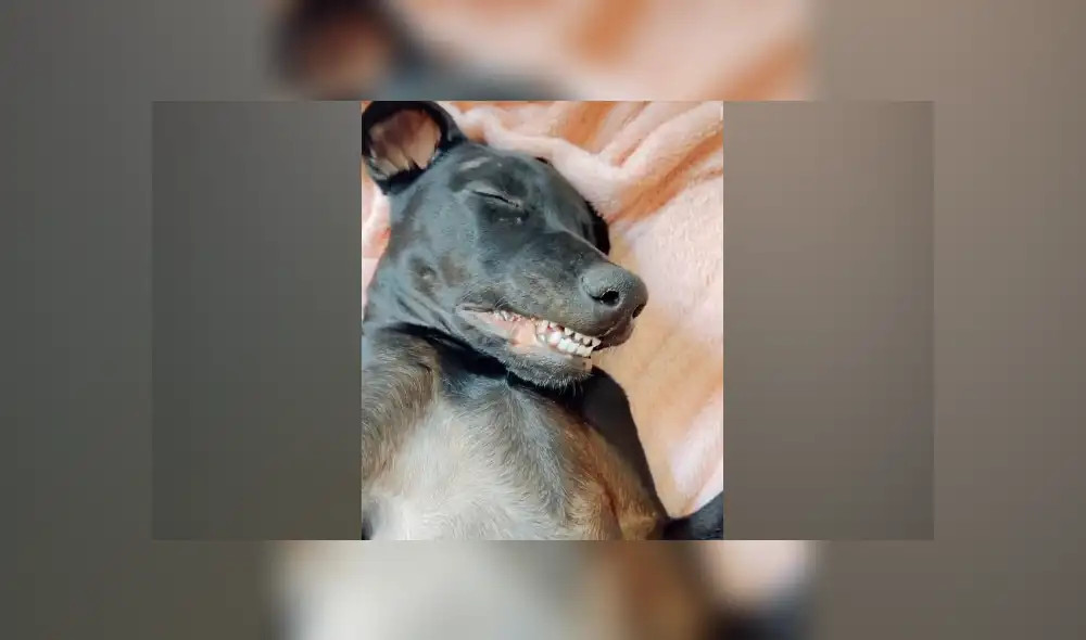 Desliza hacia la izquierda para ver las imágenes del viral de YouTube. Foto: Captura. Desliza hacia la izquierda para ver las imágenes del viral de YouTube. Foto: Captura.