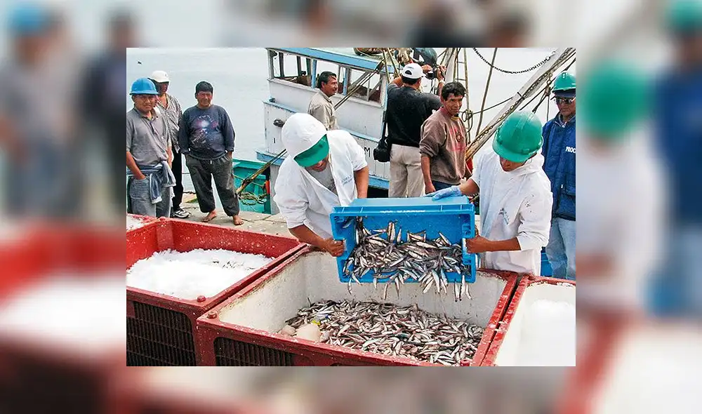 Anchoveteros oficializan denuncia ante Indecopi 