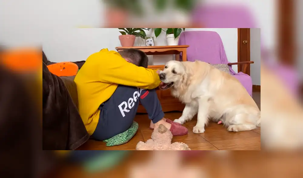 En YouTube se hizo viral la tierna reacción de un perro al notar que su dueño estaba triste. En YouTube se hizo viral la tierna reacción de un perro al notar que su dueño estaba triste.