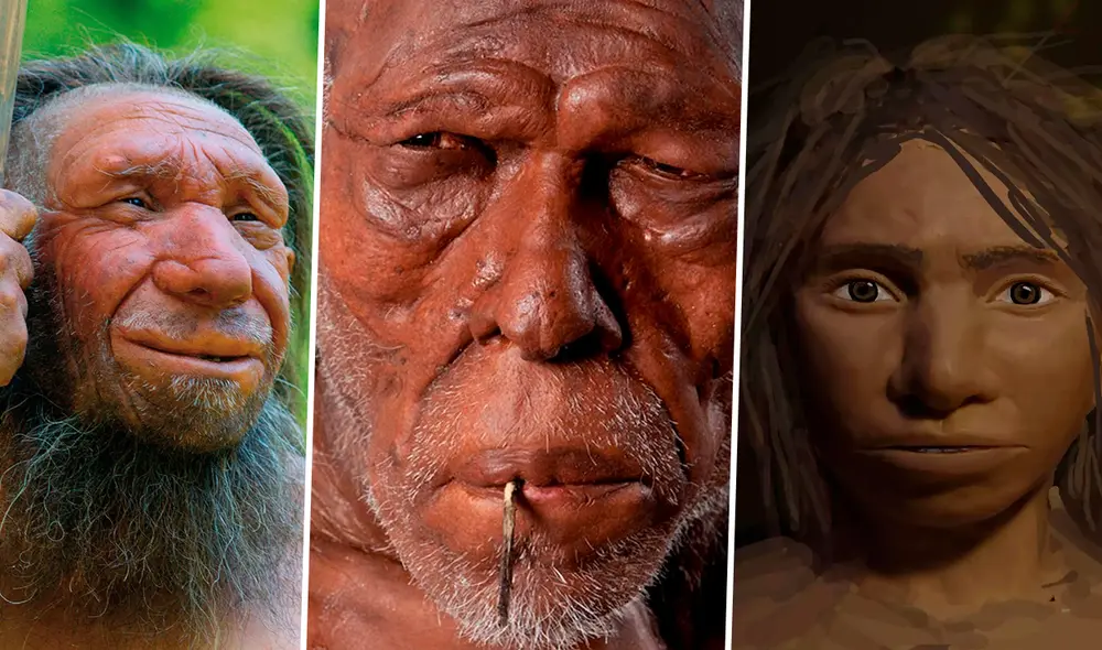 Los Homo Sapiens (centro), los neandertales (izquierda) y los denisovanos (derecha) se encontraron en Eurasia hace aproximadamente 55.000 años. Foto: composición de Fabrizio Oviedo / La República / Maayan Harel / Neanderthal Museum / Natural History Museum