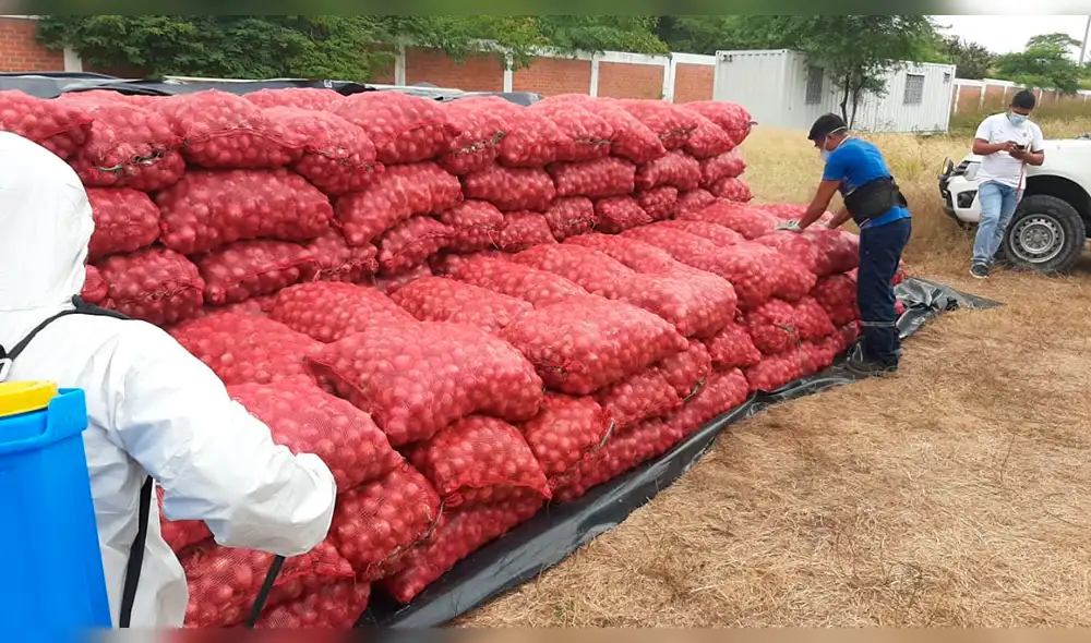 Incautan una tonelada de cebolla en frontera Tumbes-Ecuador