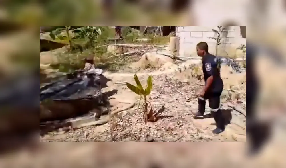 Desliza hacia la izquierda para ver el espeluznante hallazgo. Imágenes virales de YouTube. Desliza hacia la izquierda para ver el espeluznante hallazgo. Imágenes virales de YouTube.