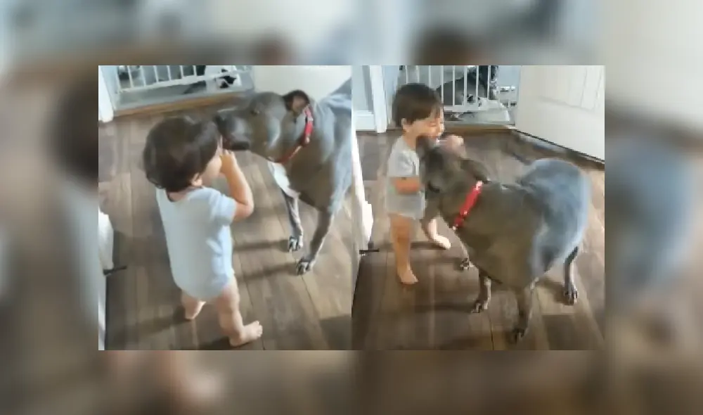 Desliza las imágenes para ver más detalles de esta escena viral de YouTube. Desliza las imágenes para ver más detalles de esta escena viral de YouTube.