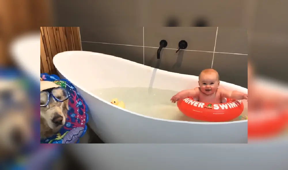 Desliza las imágenes para ver más detalles de esta peculiar escena que es viral en YouTube. Desliza las imágenes para ver más detalles de esta peculiar escena que es viral en YouTube.