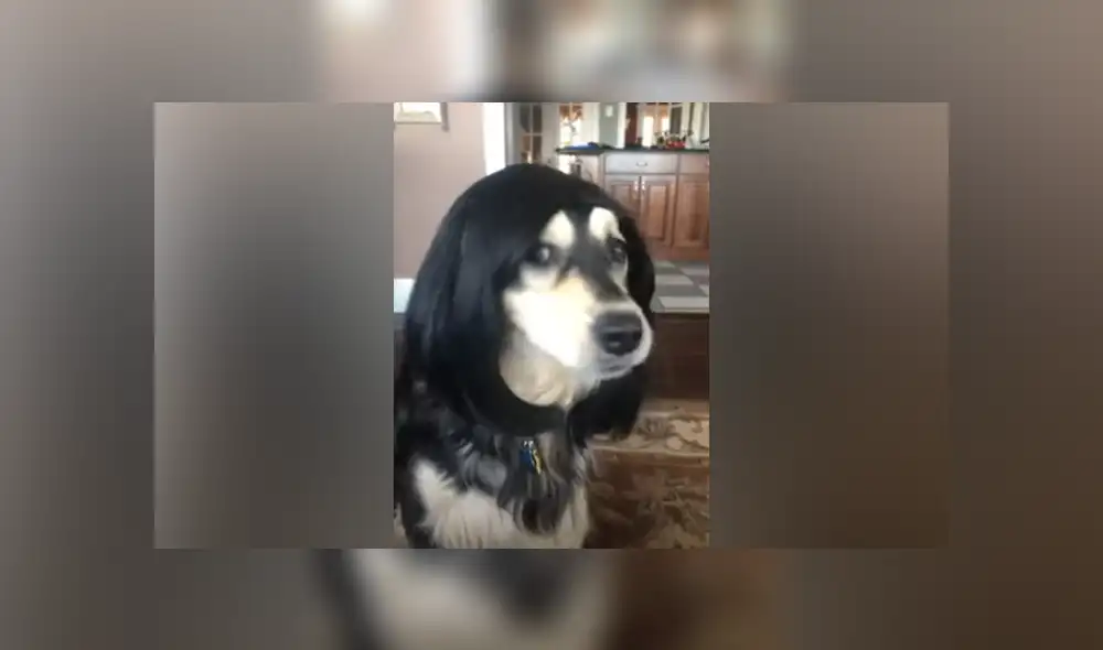 Desliza hacia la izquierda para ver las imágenes del viral de Facebook.