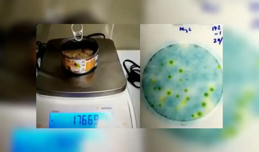 Captura: América. Captura: América.