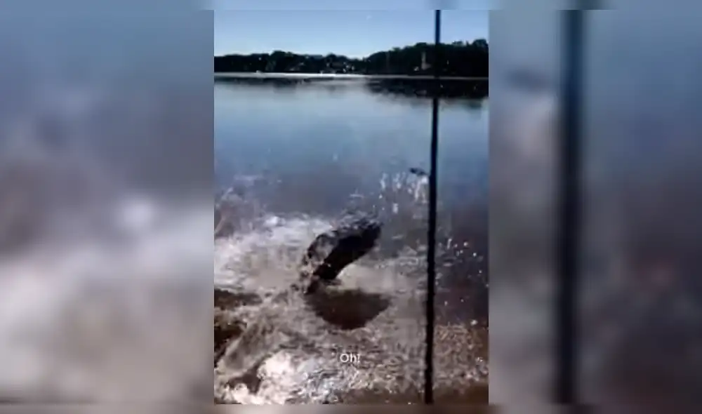 Facebook: se asustó al regresar un pez a lago y ocurre algo espeluznante [VIDEO]