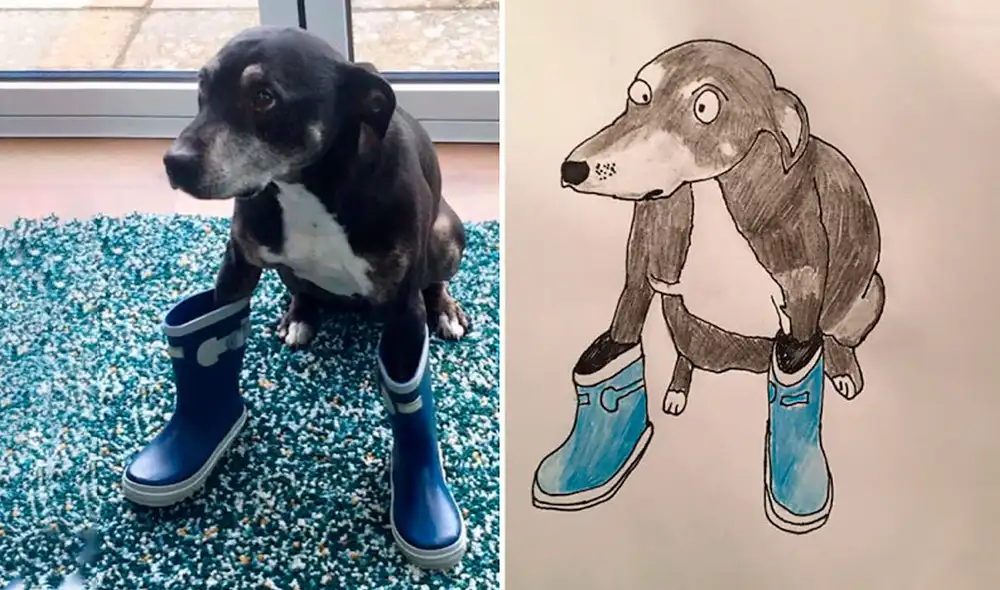 Desliza las imágenes hacia la izquierda para apreciar los dibujos de animales realizados por un joven. Fotos: Pet Portraits By Hercule.