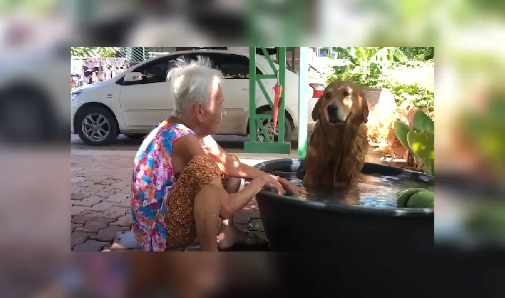 Desliza las imágenes para ver más detalles de esta tierna escena que es viral en YouTube.