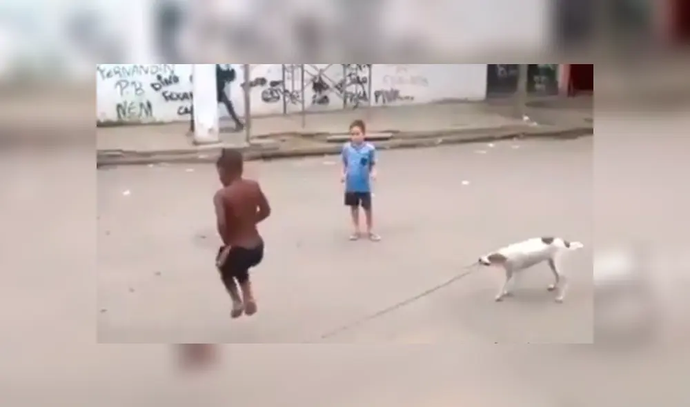Facebook viral: perro ayuda a niños para que jueguen a saltar la cuerda en la calle Facebook viral: perro ayuda a niños para que jueguen a saltar la cuerda en la calle