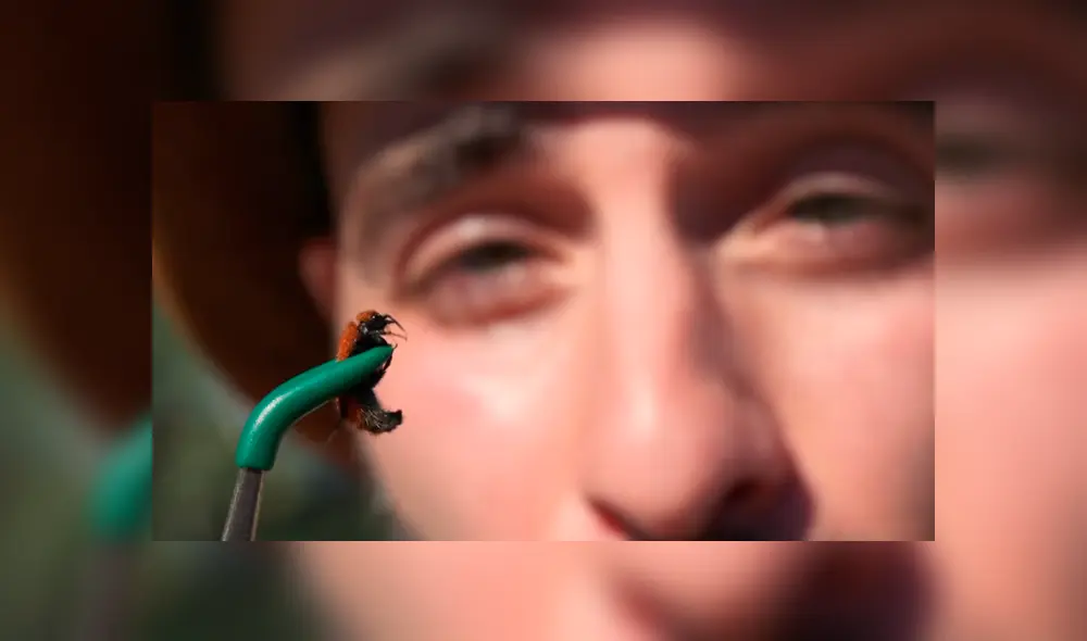 Desliza para ver los momentos más impactantes de este arriesgado experimento que se hizo viral en YouTube. Desliza para ver los momentos más impactantes de este arriesgado experimento que se hizo viral en YouTube.