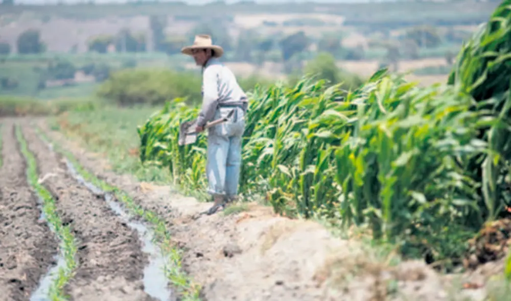 Familias rurales. Es el primer subsidio que el Estado otorgará a favor de la población rural durante el estado de emergencia. Familias rurales. Es el primer subsidio que el Estado otorgará a favor de la población rural durante el estado de emergencia.