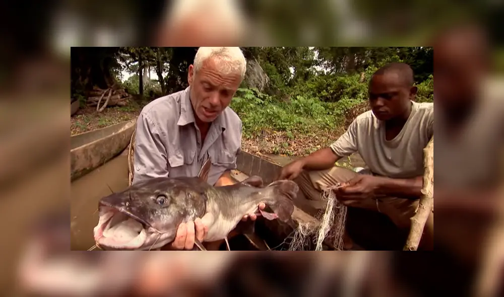 Si quieres ver el aspecto del misterioso pez que aparece en el video de YouTube, desliza cada imagen hacia la izquierda.