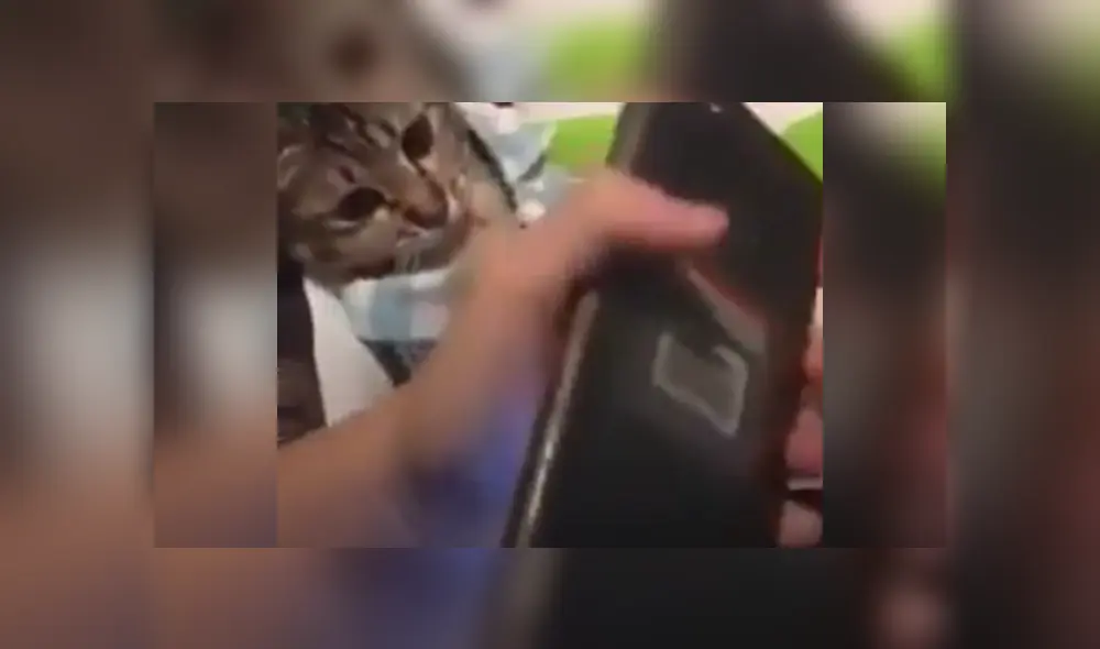 Desliza las imágenes para ver más detalles sobre esta cómica escena que es viral en Facebook. Desliza las imágenes para ver más detalles sobre esta cómica escena que es viral en Facebook.