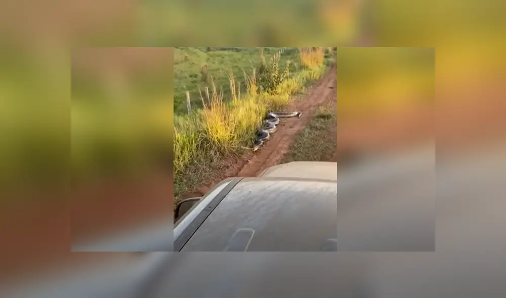 Desliza hacia la izquierda para ver las imágenes del viral de YouTube. Foto: Captura. Desliza hacia la izquierda para ver las imágenes del viral de YouTube. Foto: Captura.